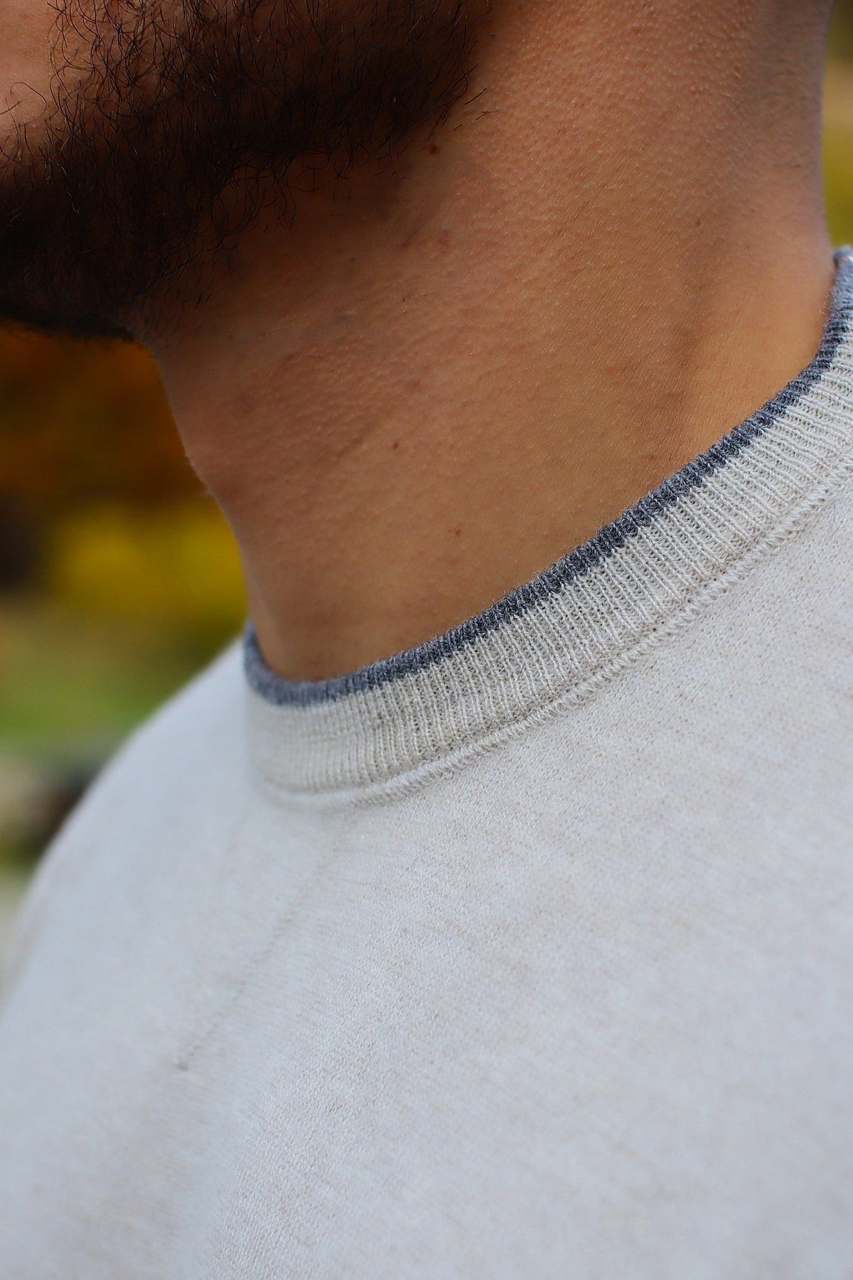 Pull "TERENZIO"