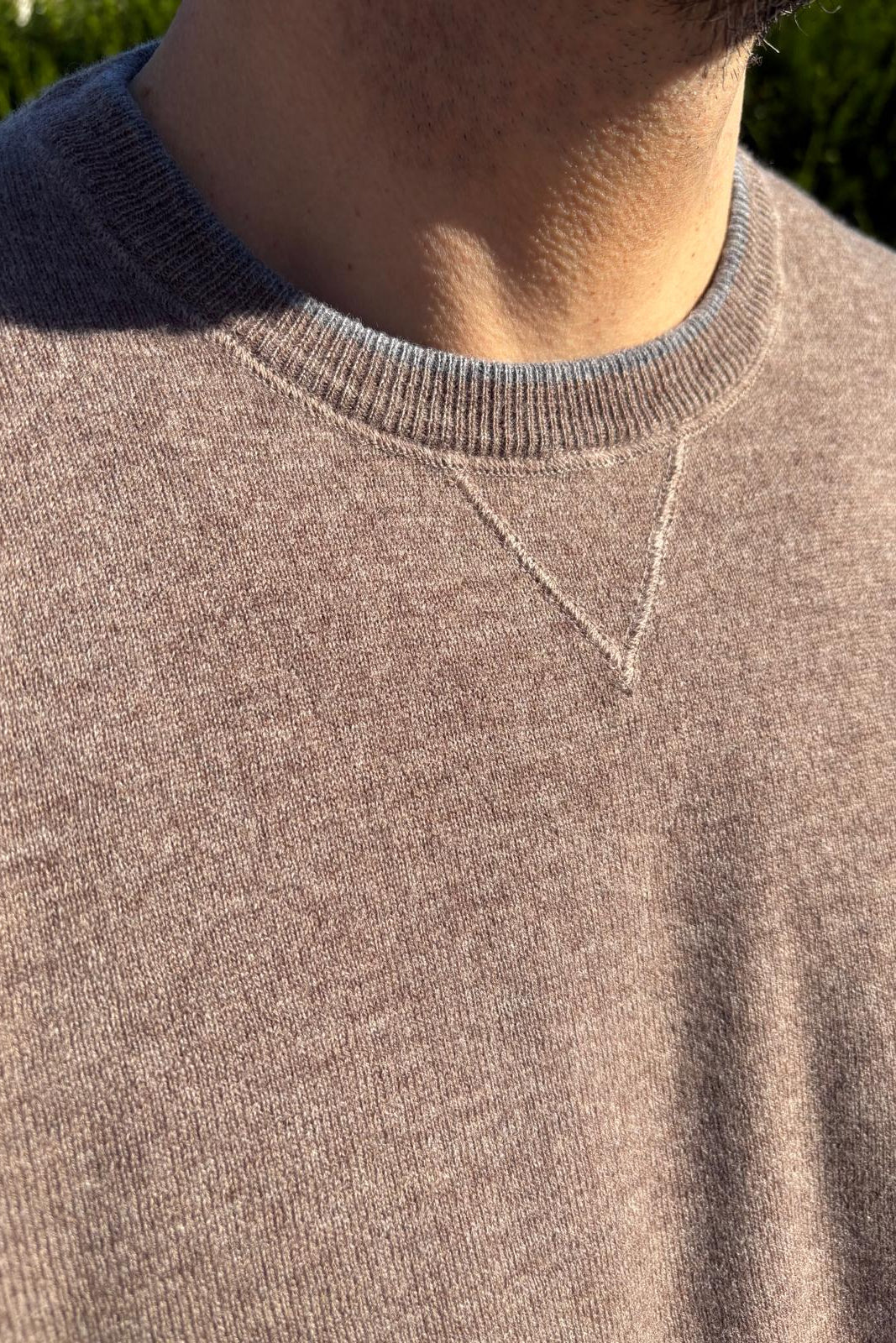 Pull "TERENZIO"